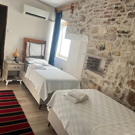 Sekercigiller * Ayvalı