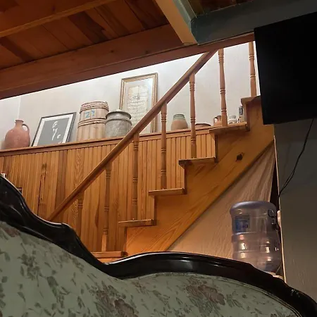 Sekercigiller * Ayvalik