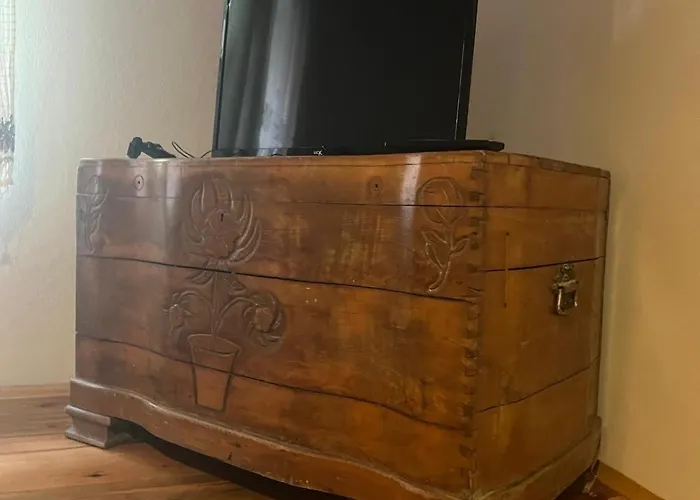 Sekercigiller * Ayvalı